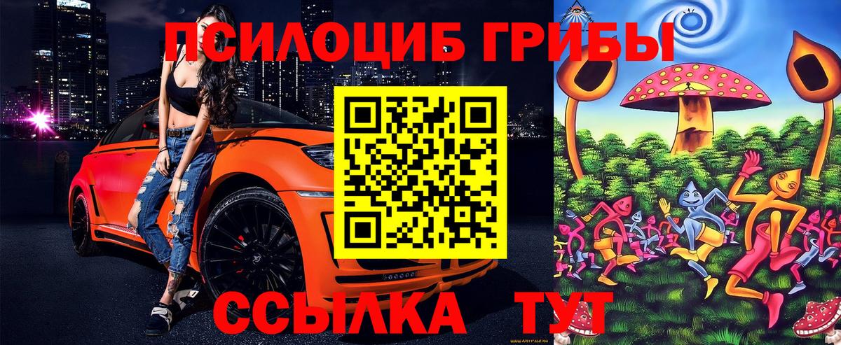 Галлюциногенные грибы мицелий  Псилоцибиновые грибы Psilocybe  Вход с VPN  Реж 
